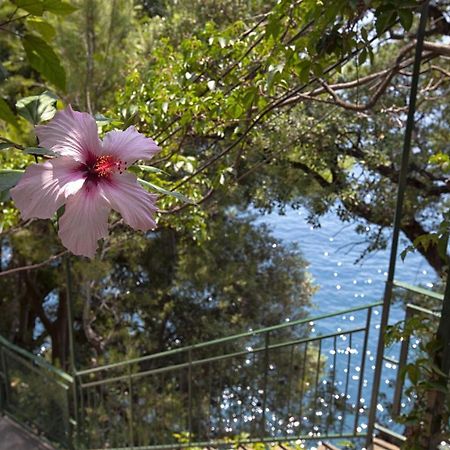 Amore Rentals - Villa Lo Scoglio Positano Exteriér fotografie