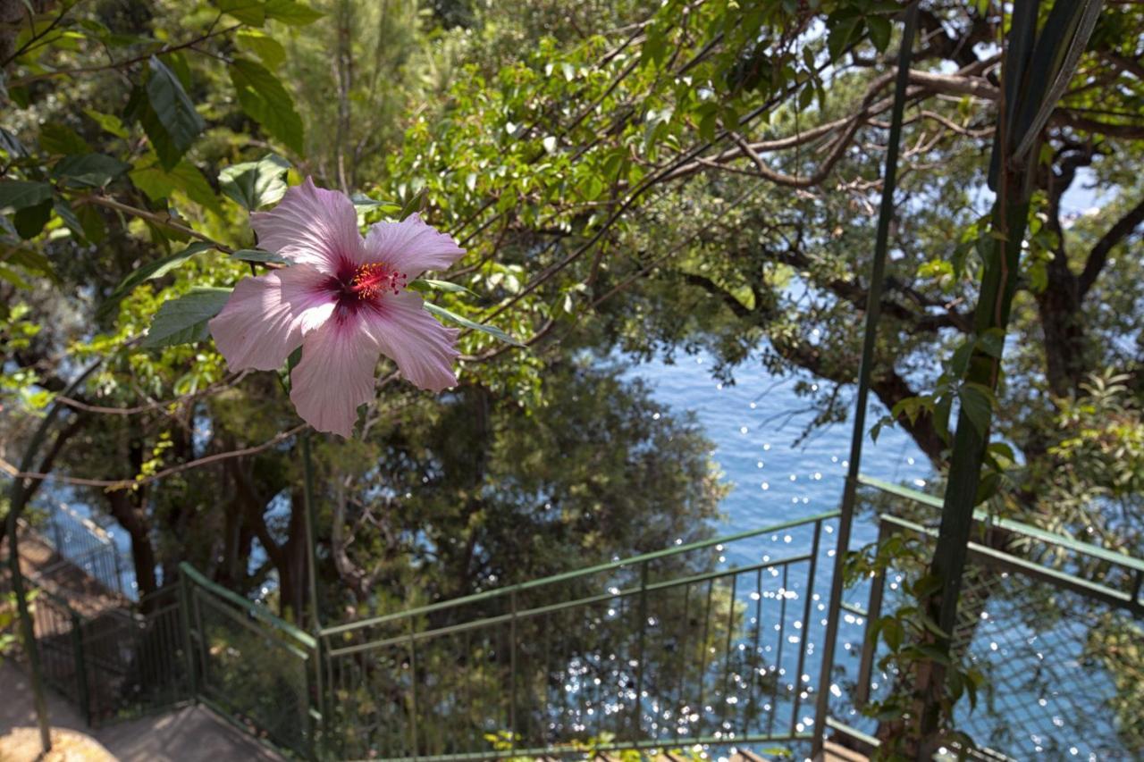 Amore Rentals - Villa Lo Scoglio Positano Exteriér fotografie