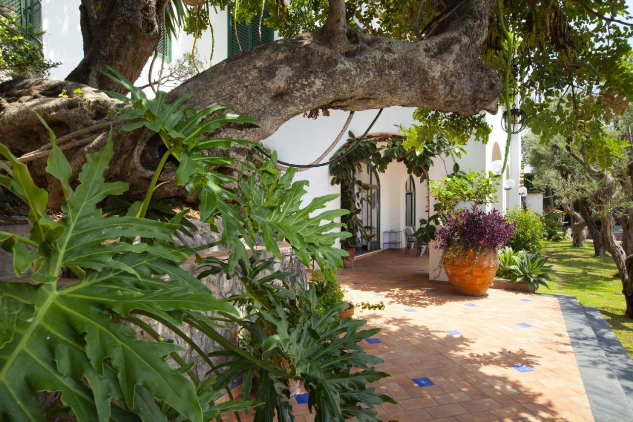 Amore Rentals - Villa Lo Scoglio Positano Exteriér fotografie
